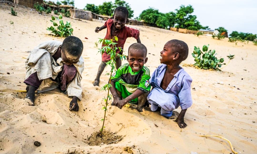 Chadian nursery owners discussing reforestation strategies