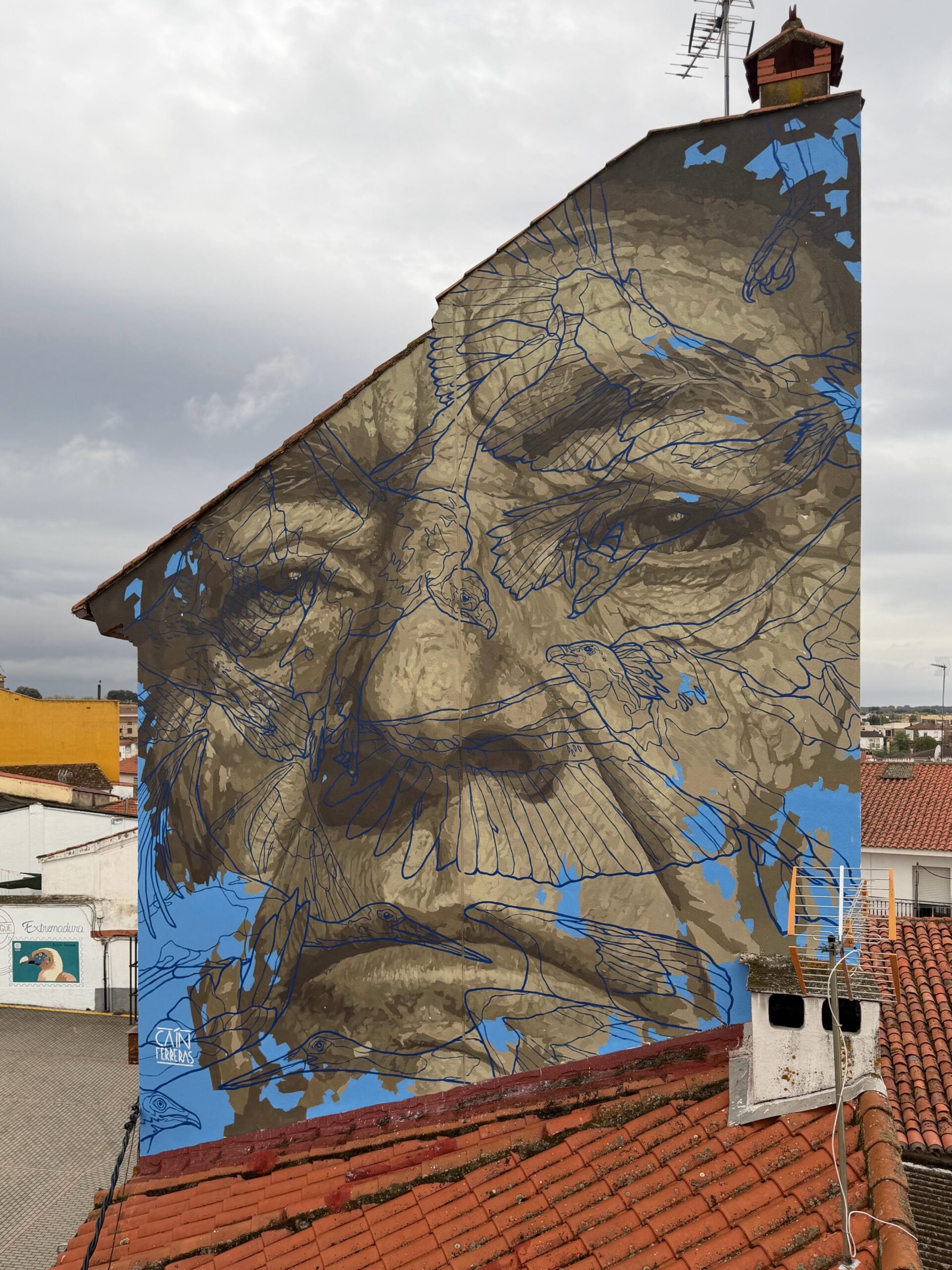 Caín Ferreras' portrait crossed by birds mural in Spain