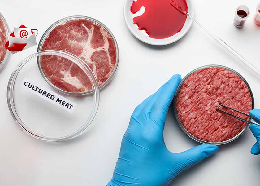 Cell-Cultured Meat