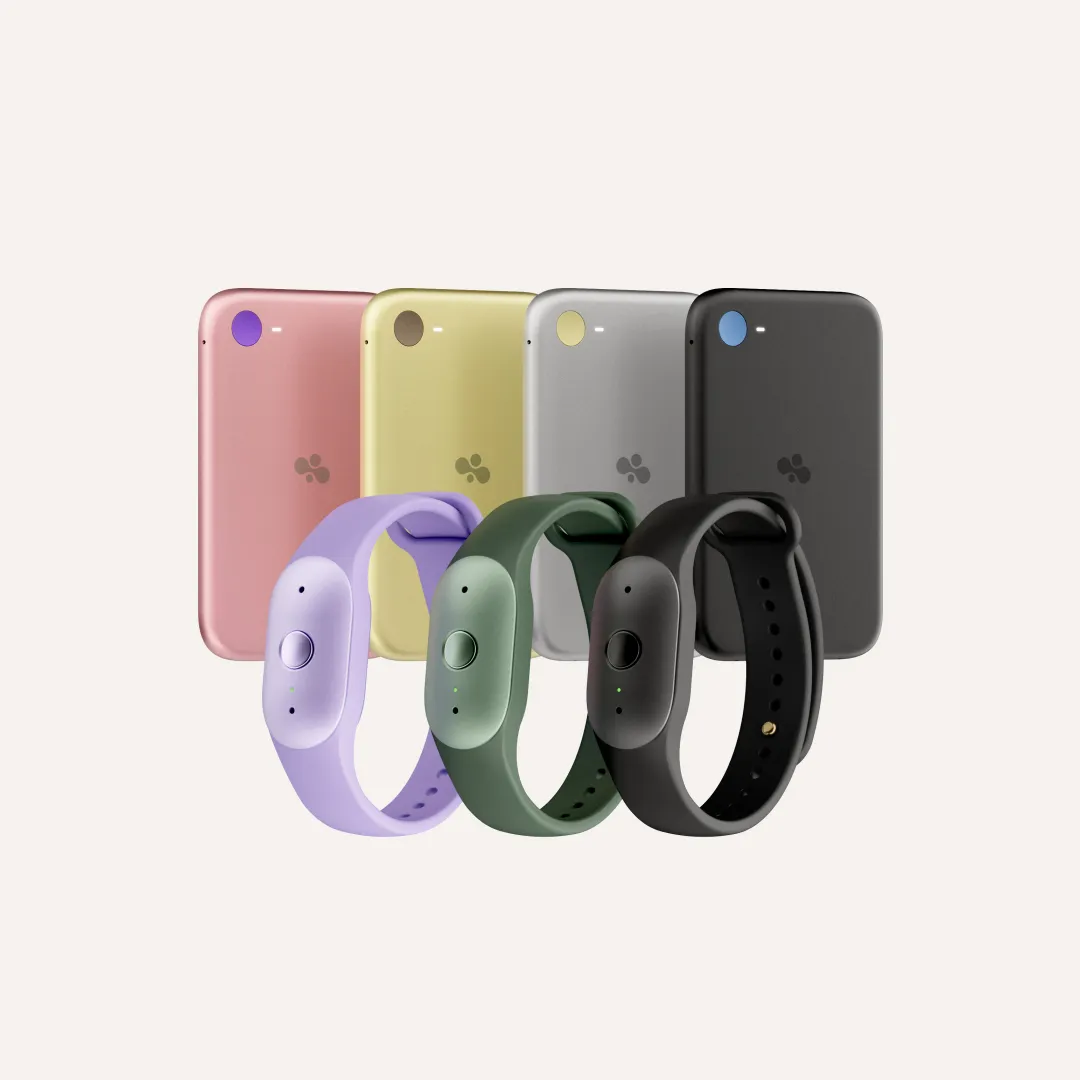 Amazon Bee family image showing the new personal AI devices