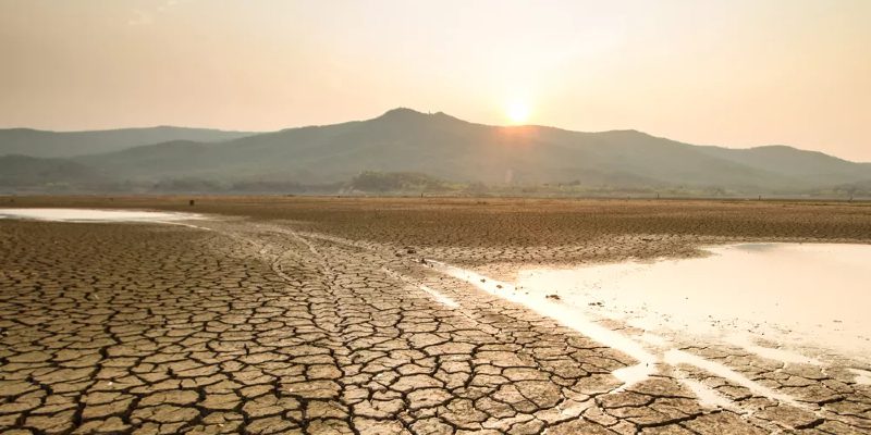 Nigerian entrepreneurs developing heat adaptation solutions