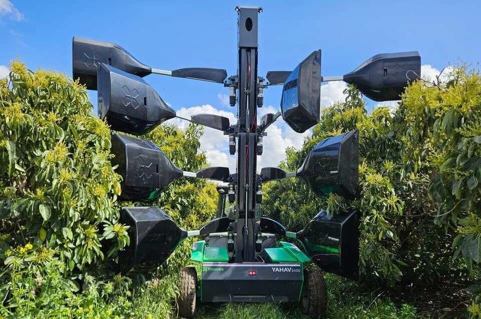 BloomX Robotics