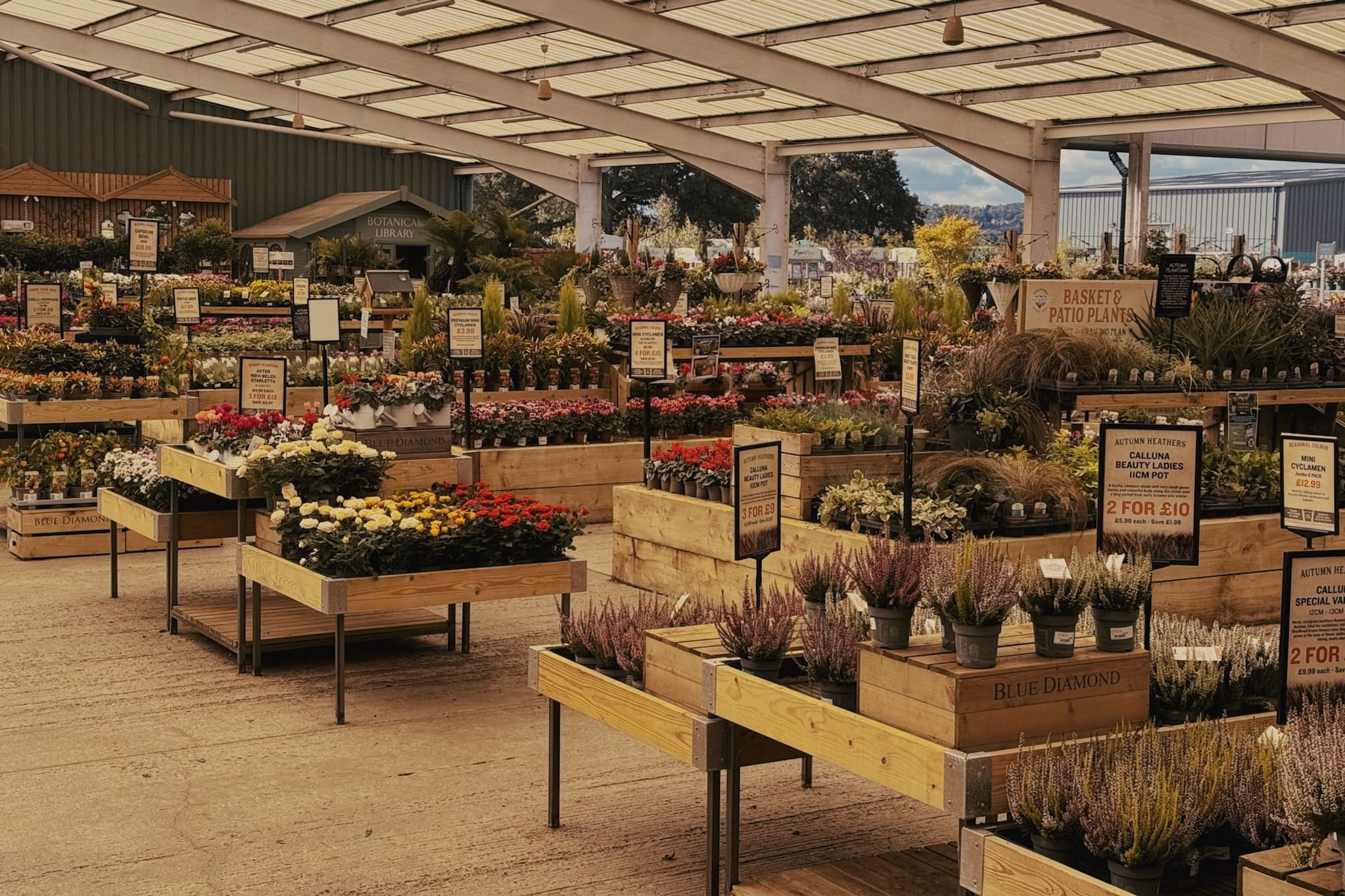 Garden centre exterior with customers browsing plants