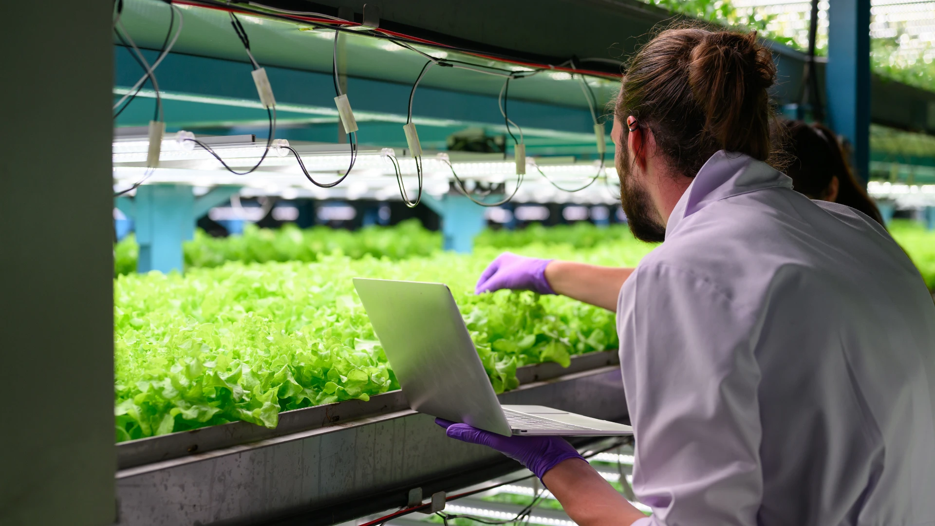 Agricultural robotics in field operation