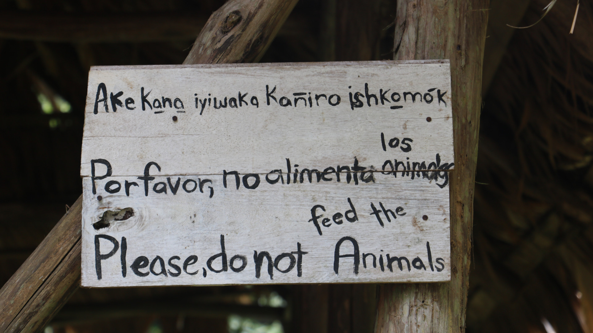 Indigenous community members in Costa Rica engaging in trilingual environmental education—connecting language preservation to ecological knowledge.