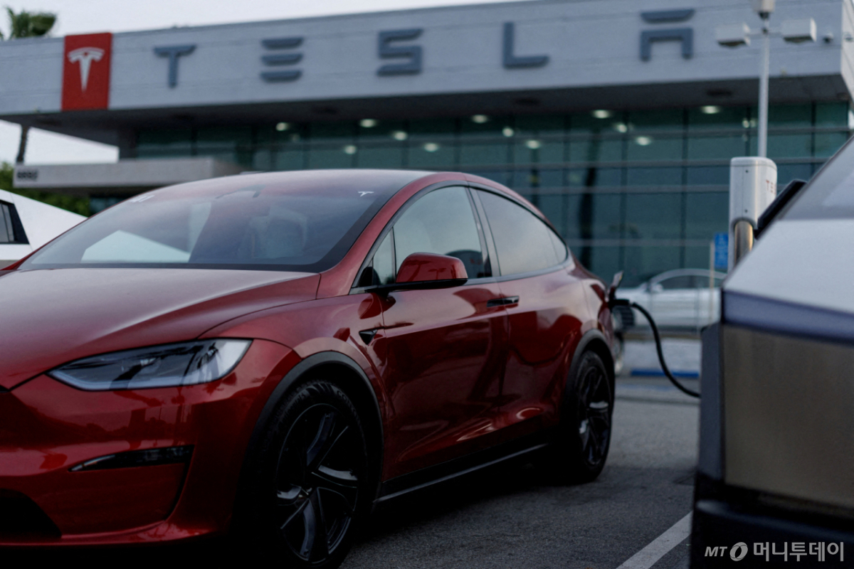 Tesla EV Market Share Trends