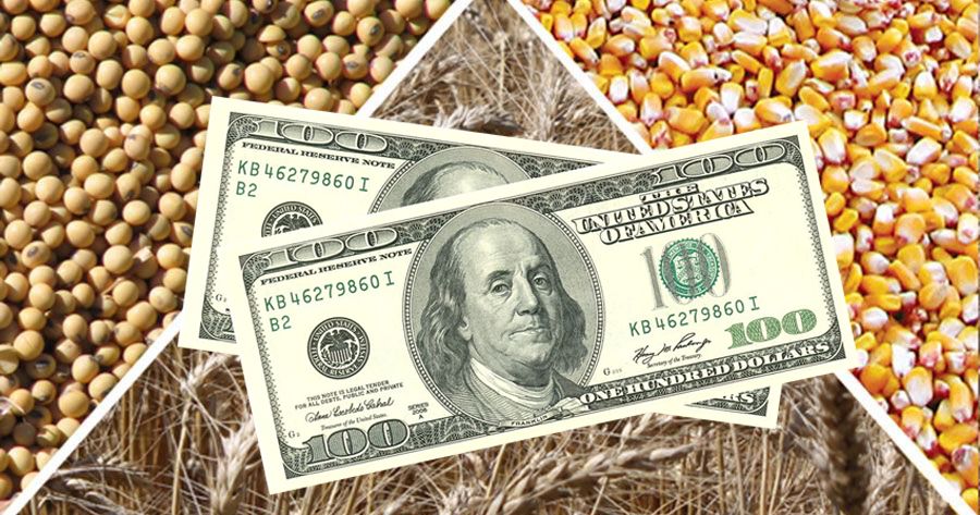 Grain prices fall in Chicago