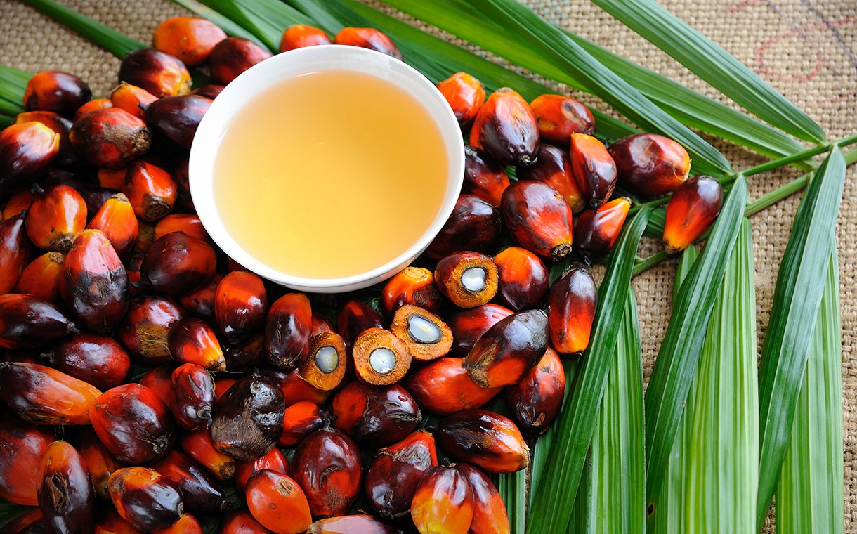 Palm oil production in Malaysia under pressure from weak exports and rising stocks