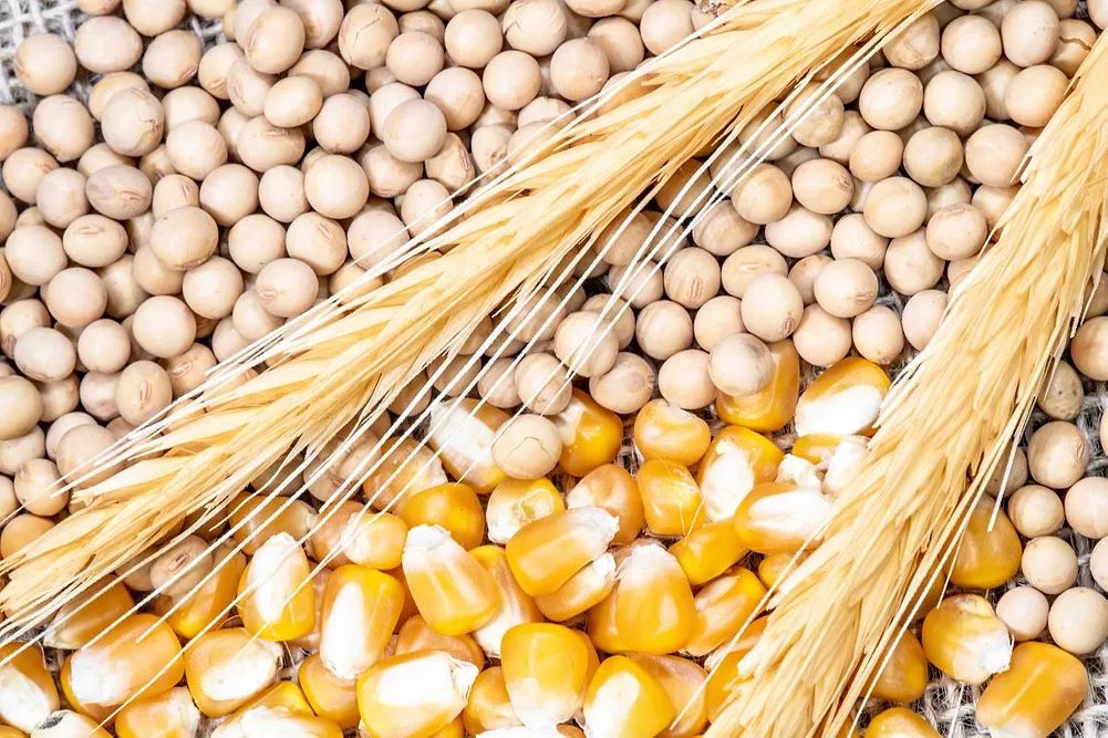 Black Sea grain export issues