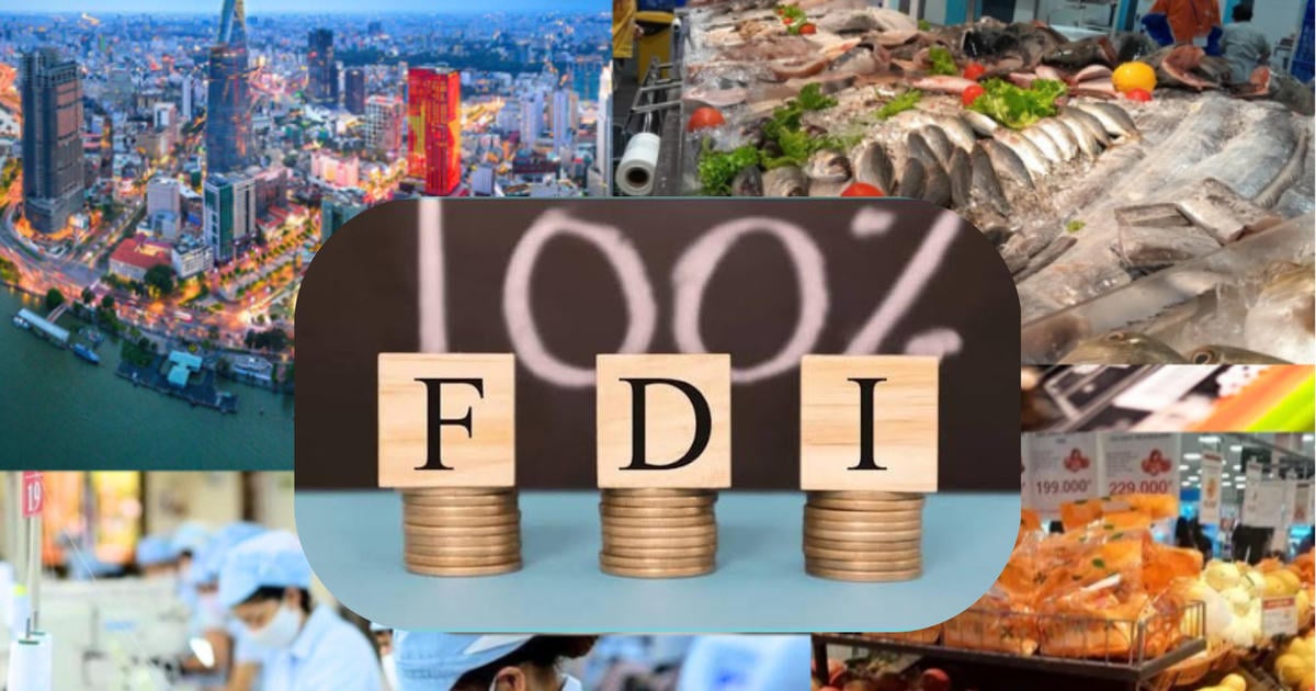Graphic showing Vietnam's FDI inflows