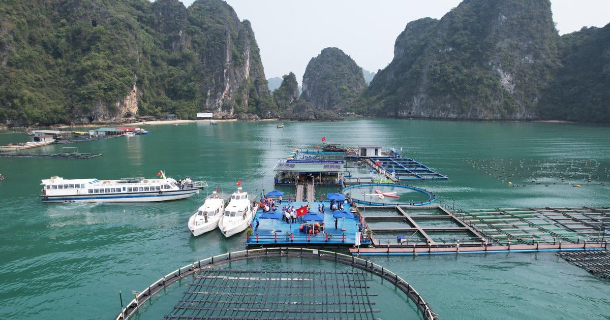 Marine technology observation vessel operations