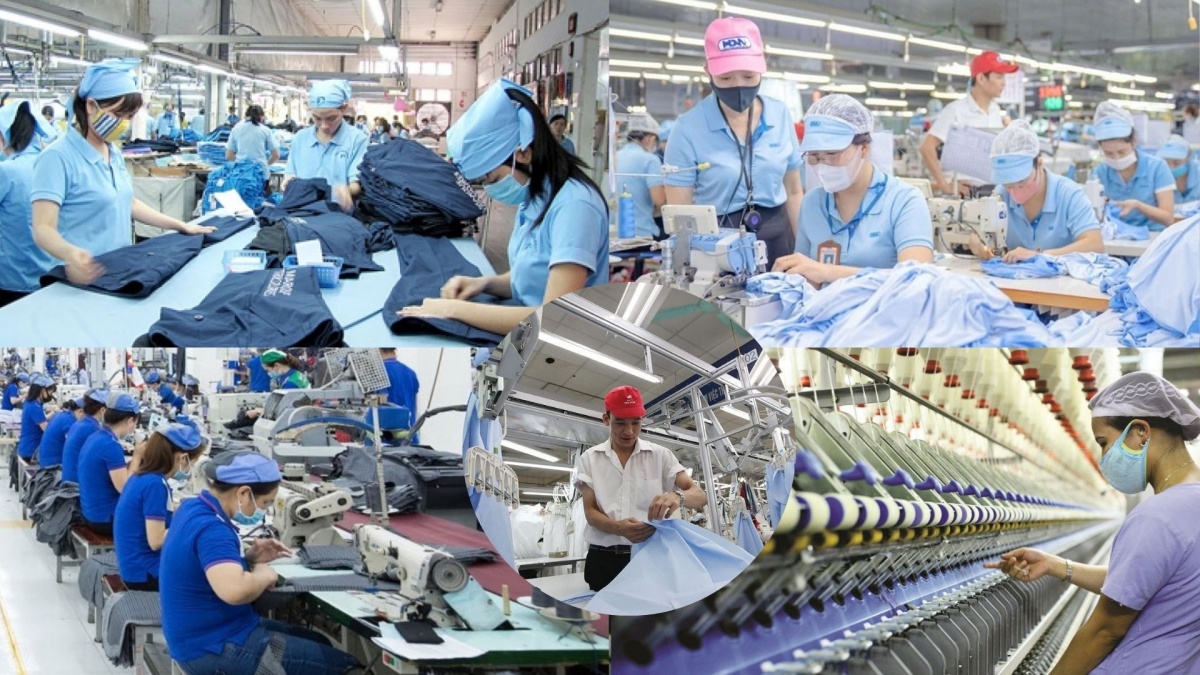 Vietnam Textile and Garment Group report