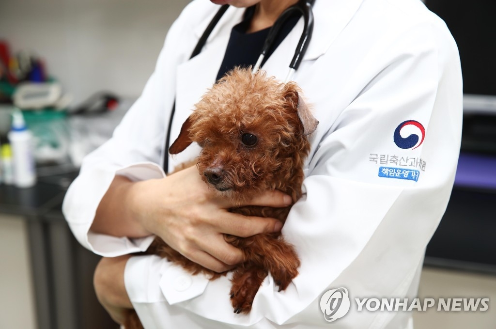 Age-Specific Pet Disease Analysis