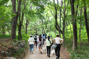 Image related to Seodaemun-gu’s voluntary pet registration period