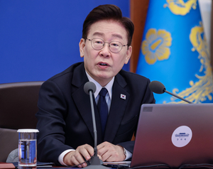 Korea Herald article on President Lee's order