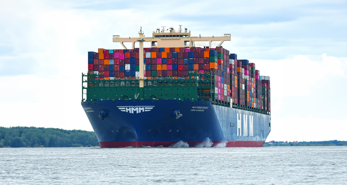 Image showing bulk carriers at sea representing the HMM-Vale shipping contract