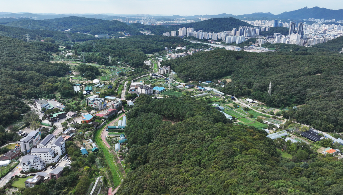 공적주택 실행력 논평 기사 이미지