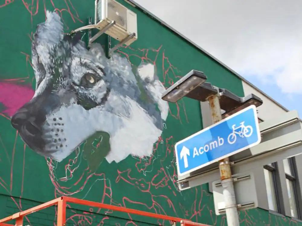 Promotional image for AcombFest 2026 street art festival in York