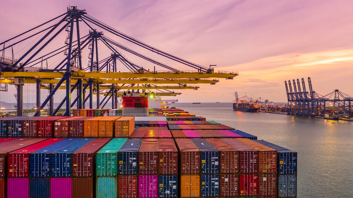 Colorful shipping containers in busy commercial port operations