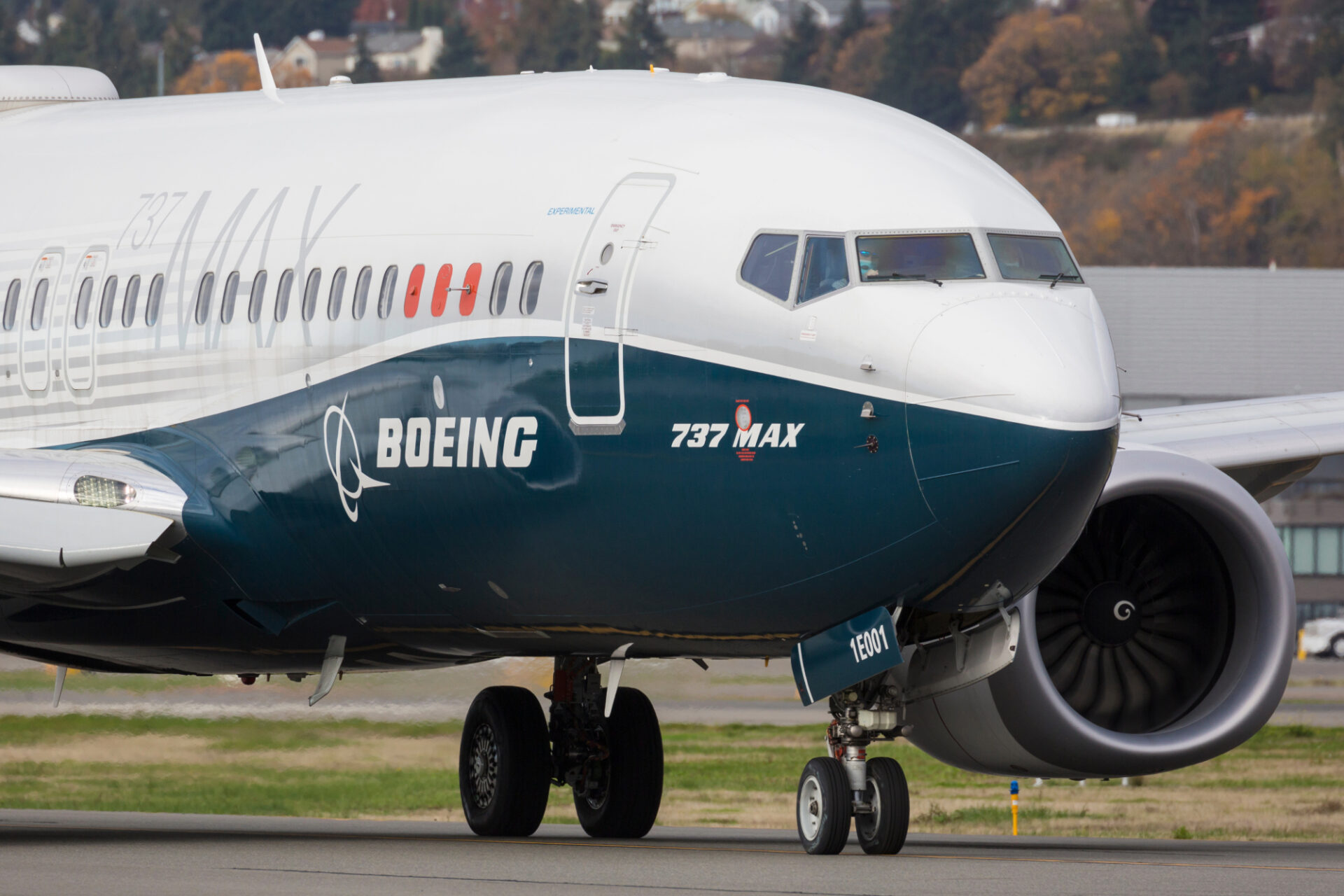 Boeing 737 MAX in flight