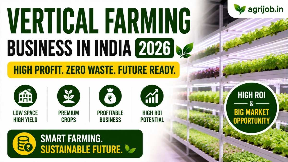 India vertical farming setup and ROI infographic