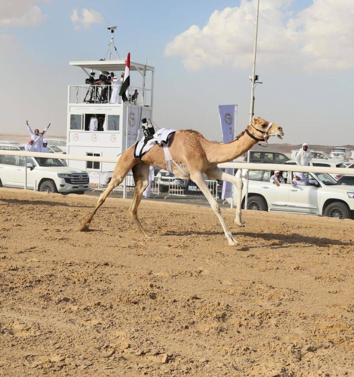 Camel racing at the Al Dhafra Festival