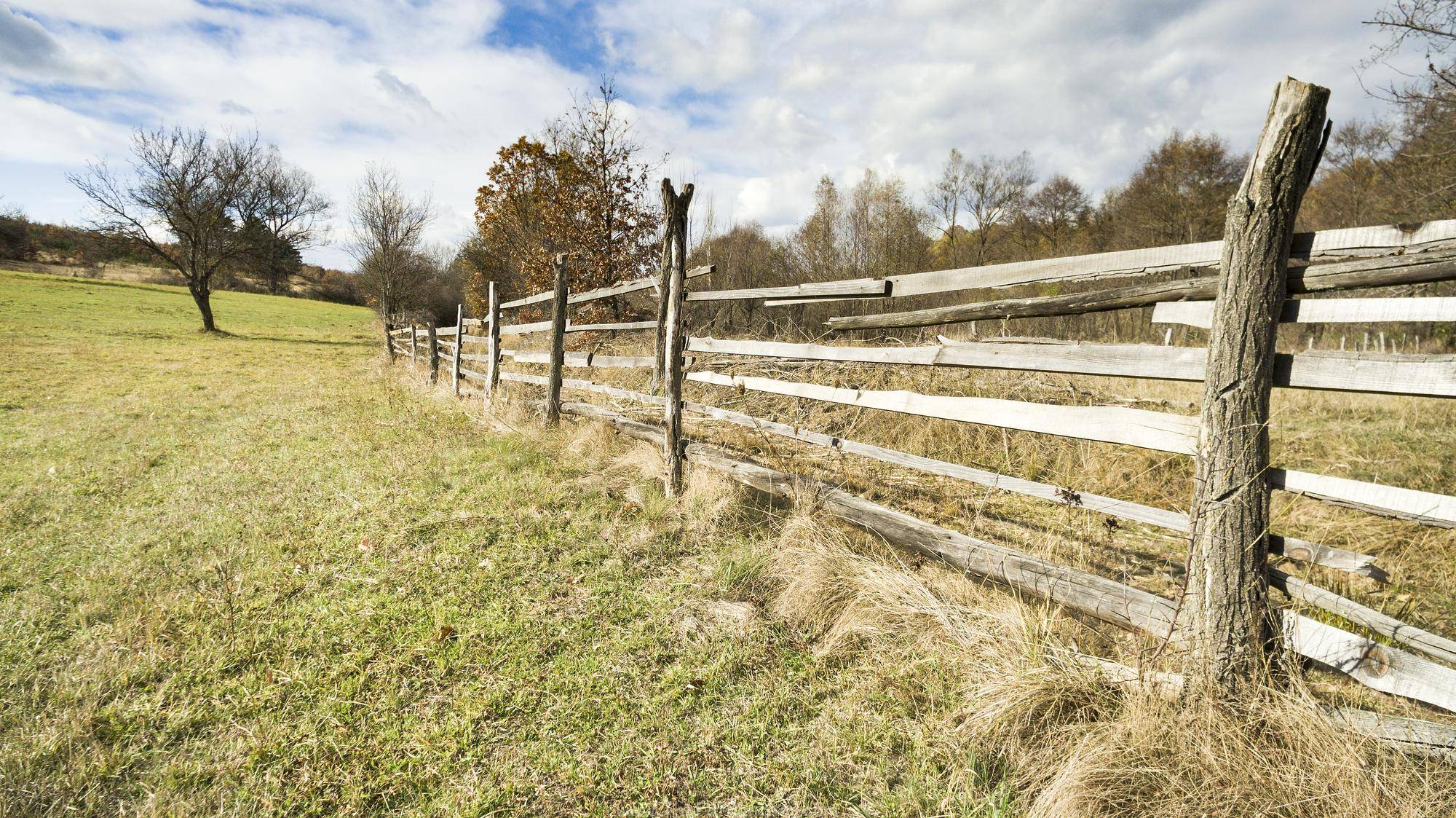 Illustration of fences and farms affecting migration routes