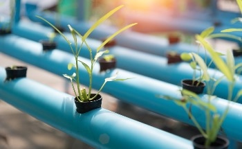 AZoCleanTech thumbnail representing UK agritech innovators testing future farming solutions in New Zealand