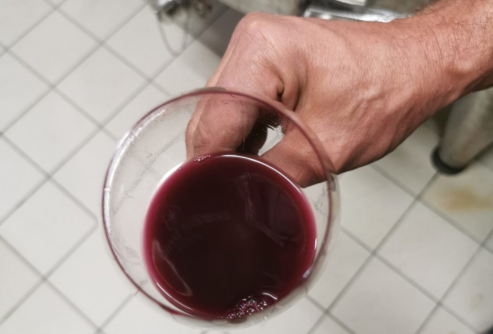 Burgundy Vineyards during 2026 Harvest
