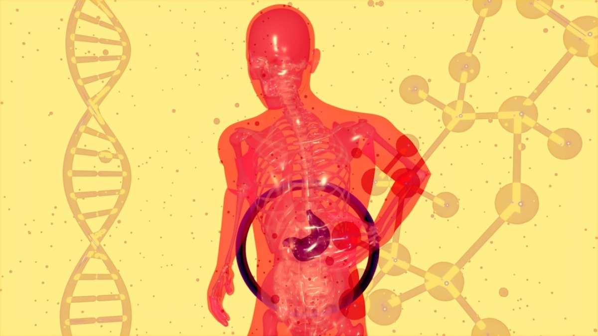 Gut health as a 2026 brain health trend