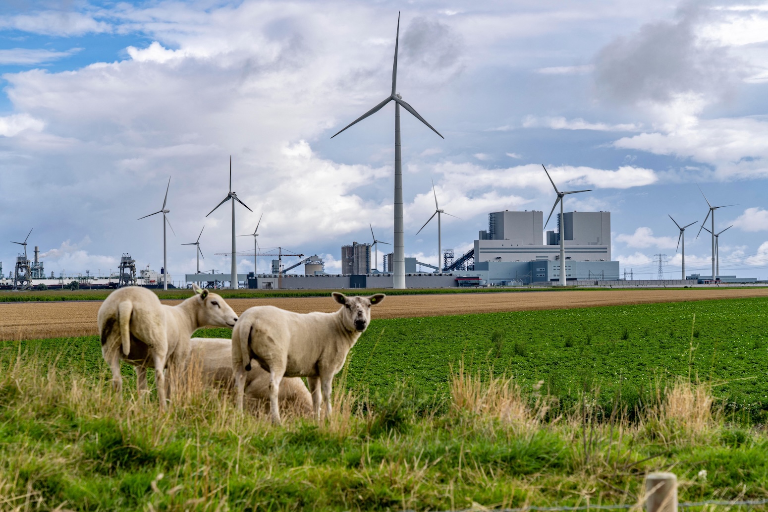 Explainer: The CMIP7 emissions scenarios – and how they explore future climate change