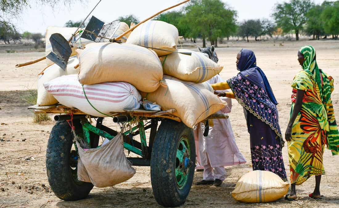 CARE Sudan conflict and hunger report image