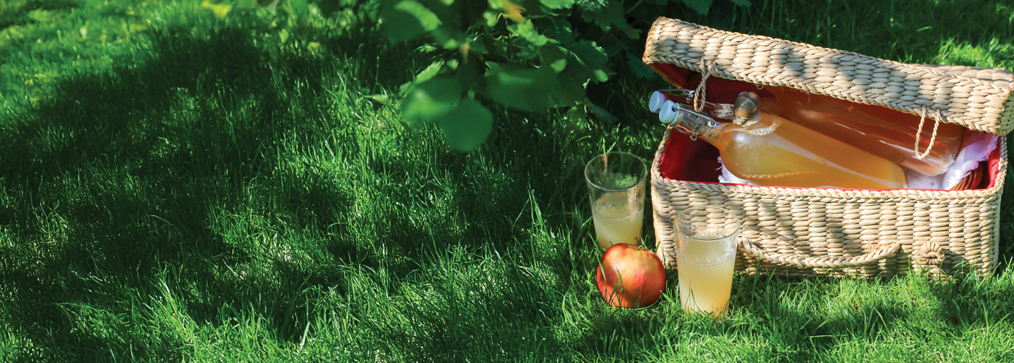 Hudson Valley craft beverage scene