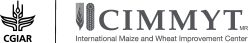CIMMYT Logo