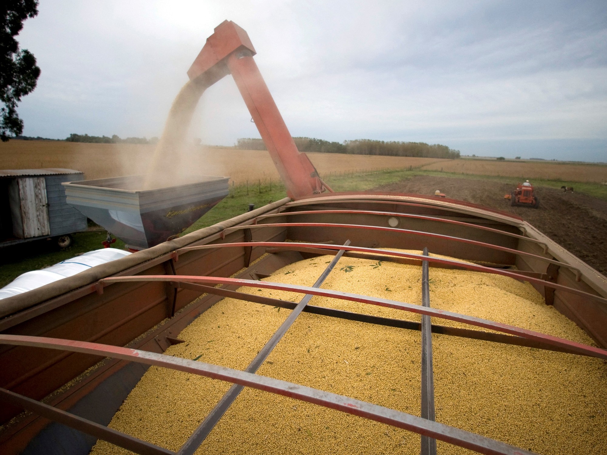 Argentine grain silos
