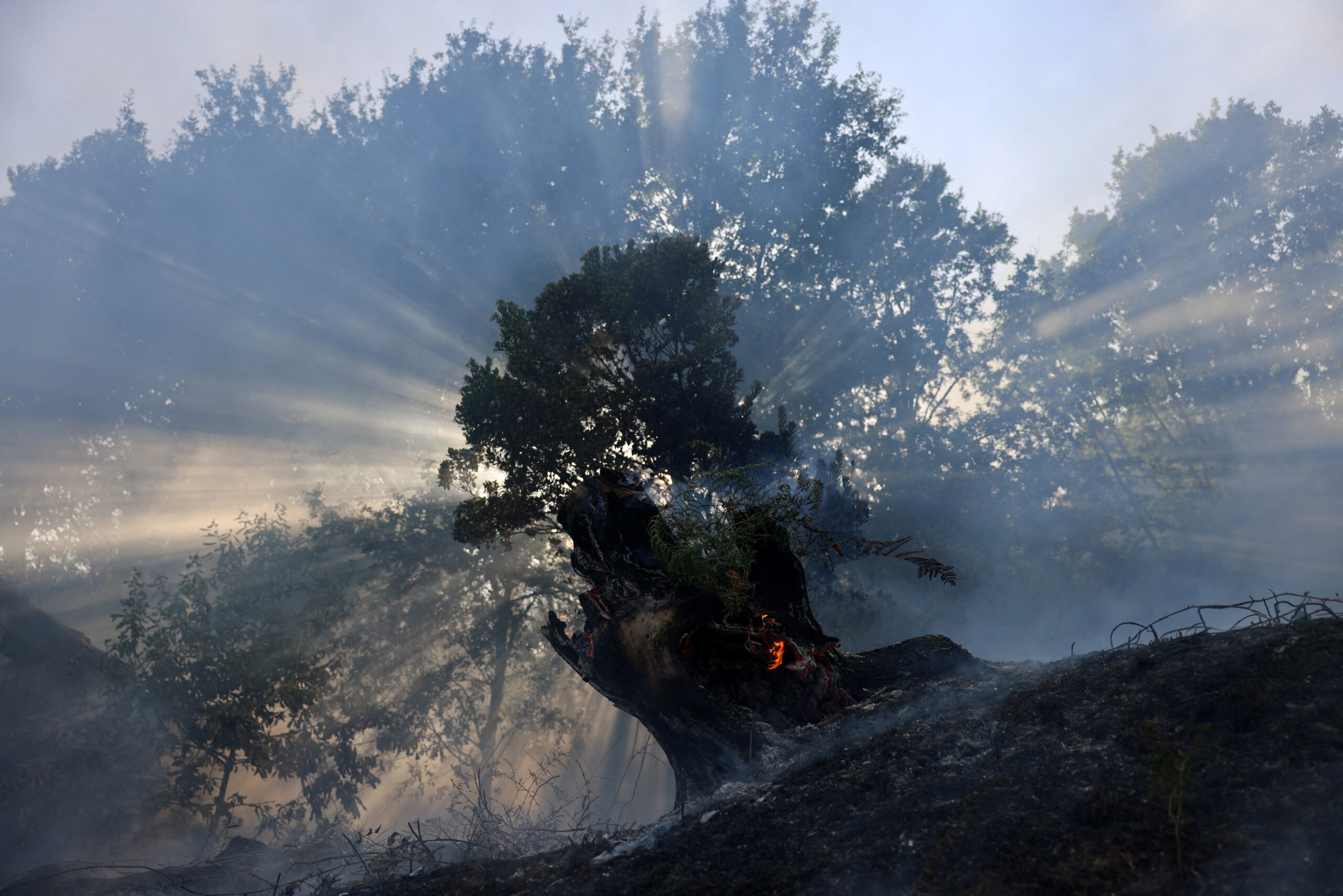 Drought and wildfire-scarred Iberian landscape illustrating El Niño-linked climate extremes
