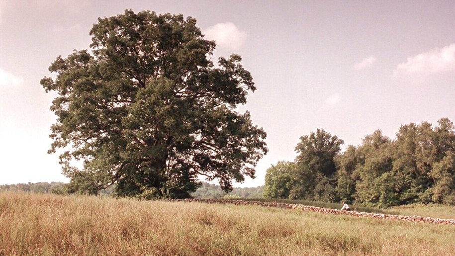 Source image