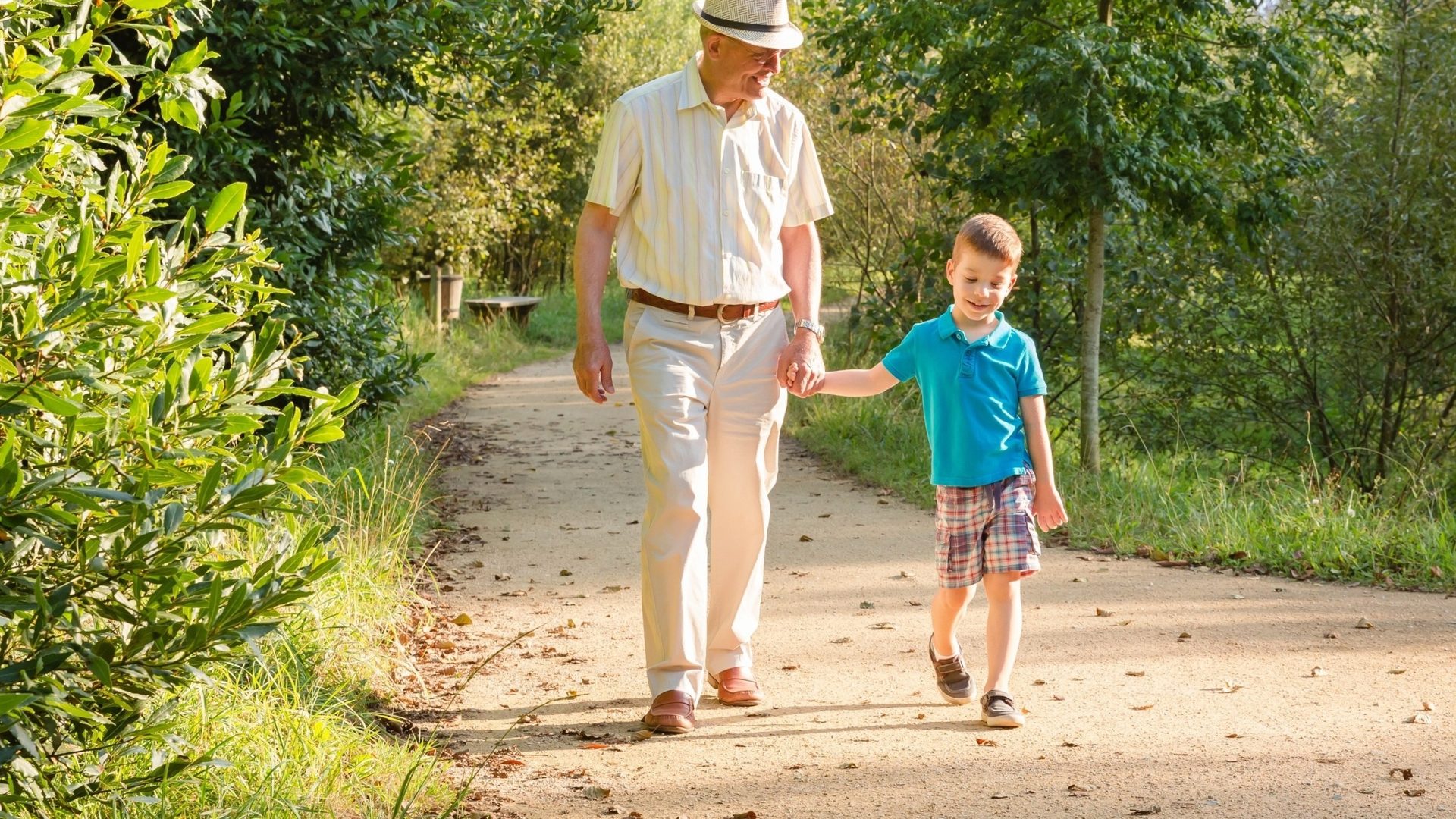 Image related to dementia prevention research
