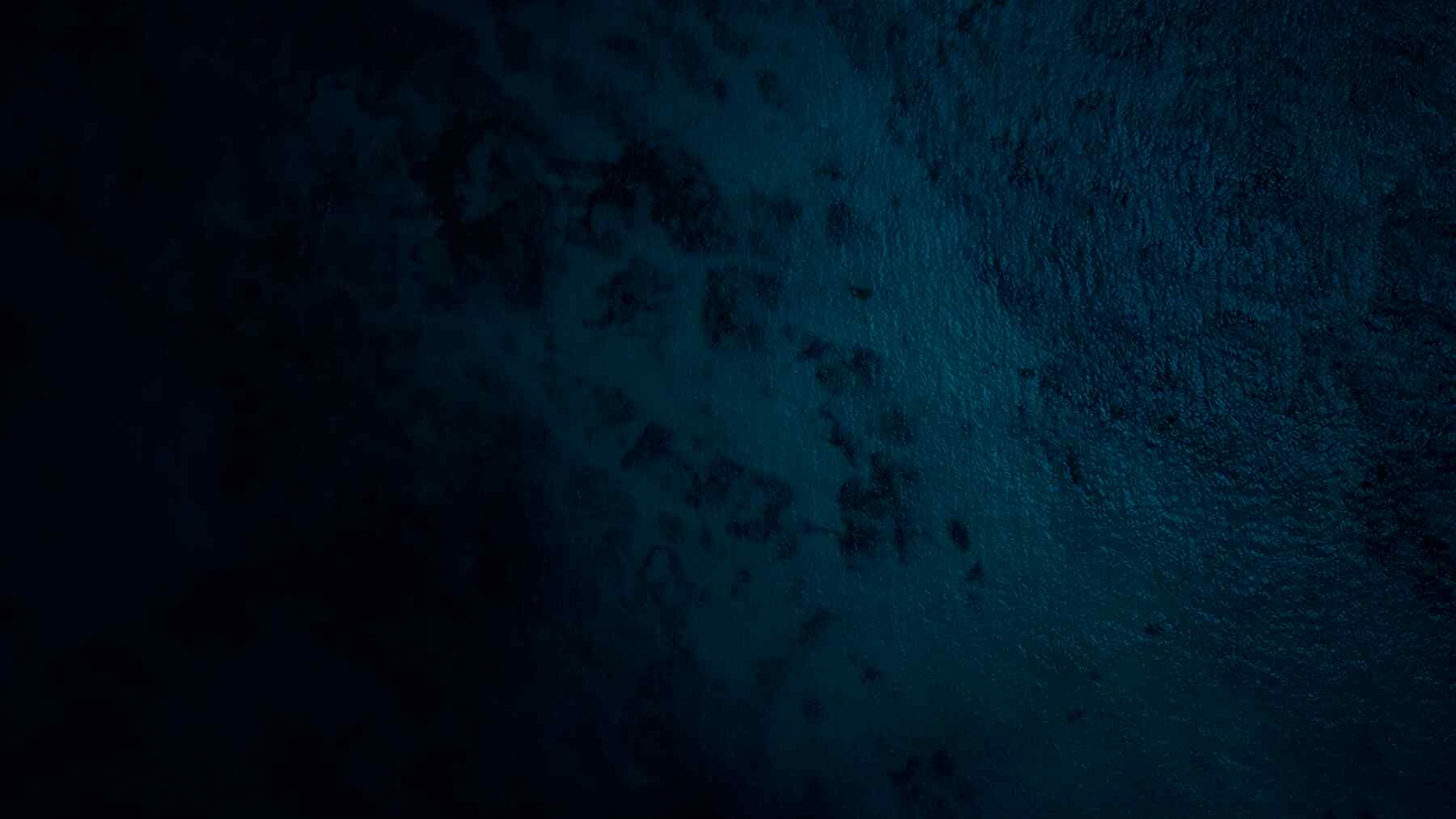 Strange deep-sea creatures found near underwater dormant volcanoes