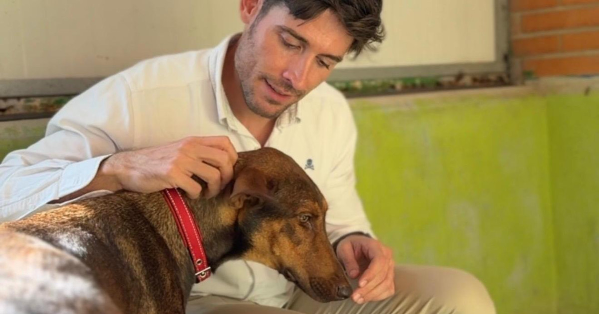 Valencia Animal Center Adoption