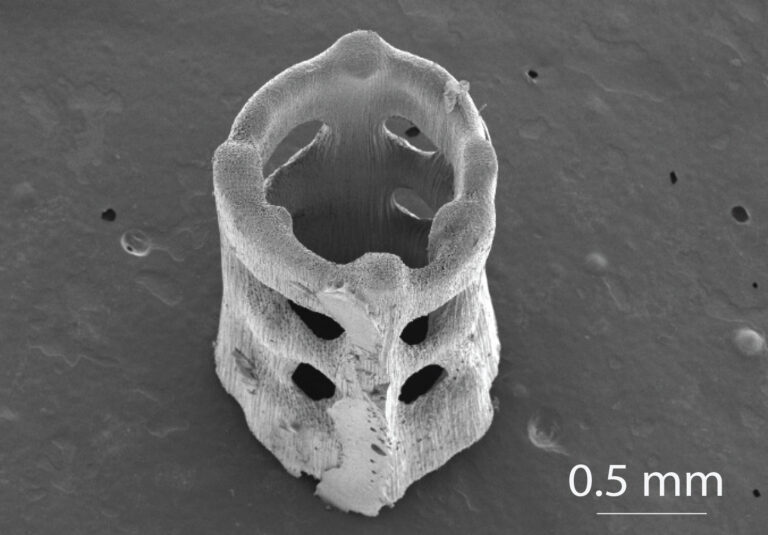 Micrograph of 3D printed structure