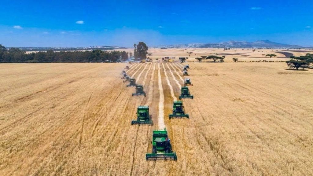 Ethiopia's agricultural yield gains highlighted by Fana Media
