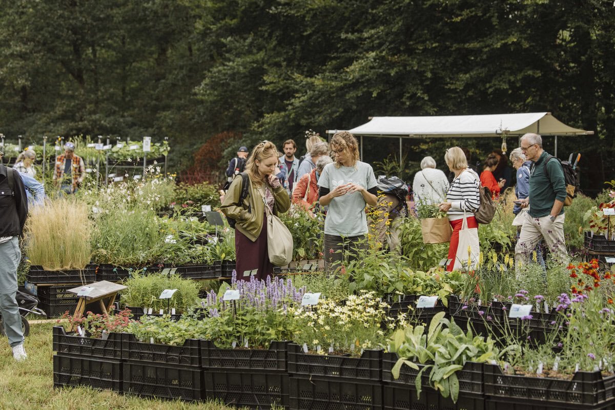 Ambachtelijke Plantenmarkt 2026 scene from specialist plant event