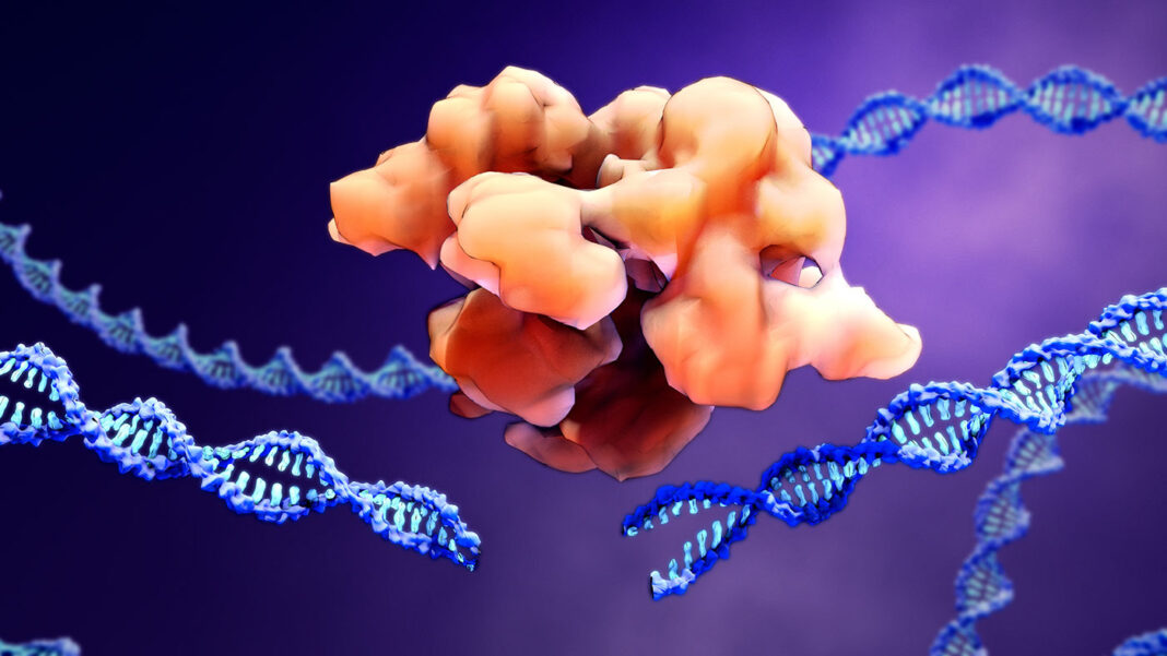 CRISPR gene therapy being developed in laboratory settings