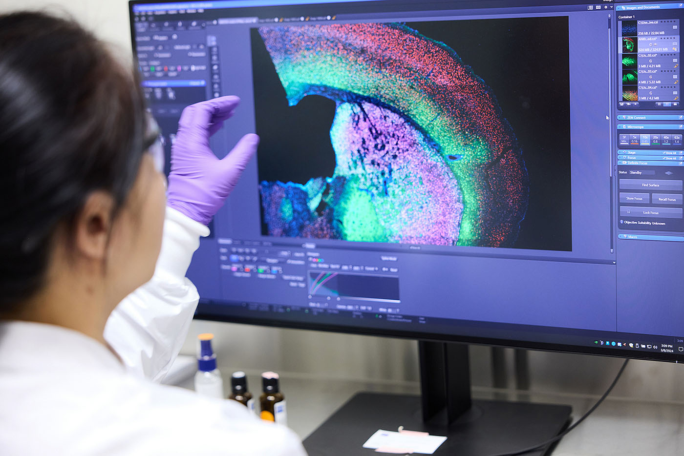 Gene editing laboratory scientist at work