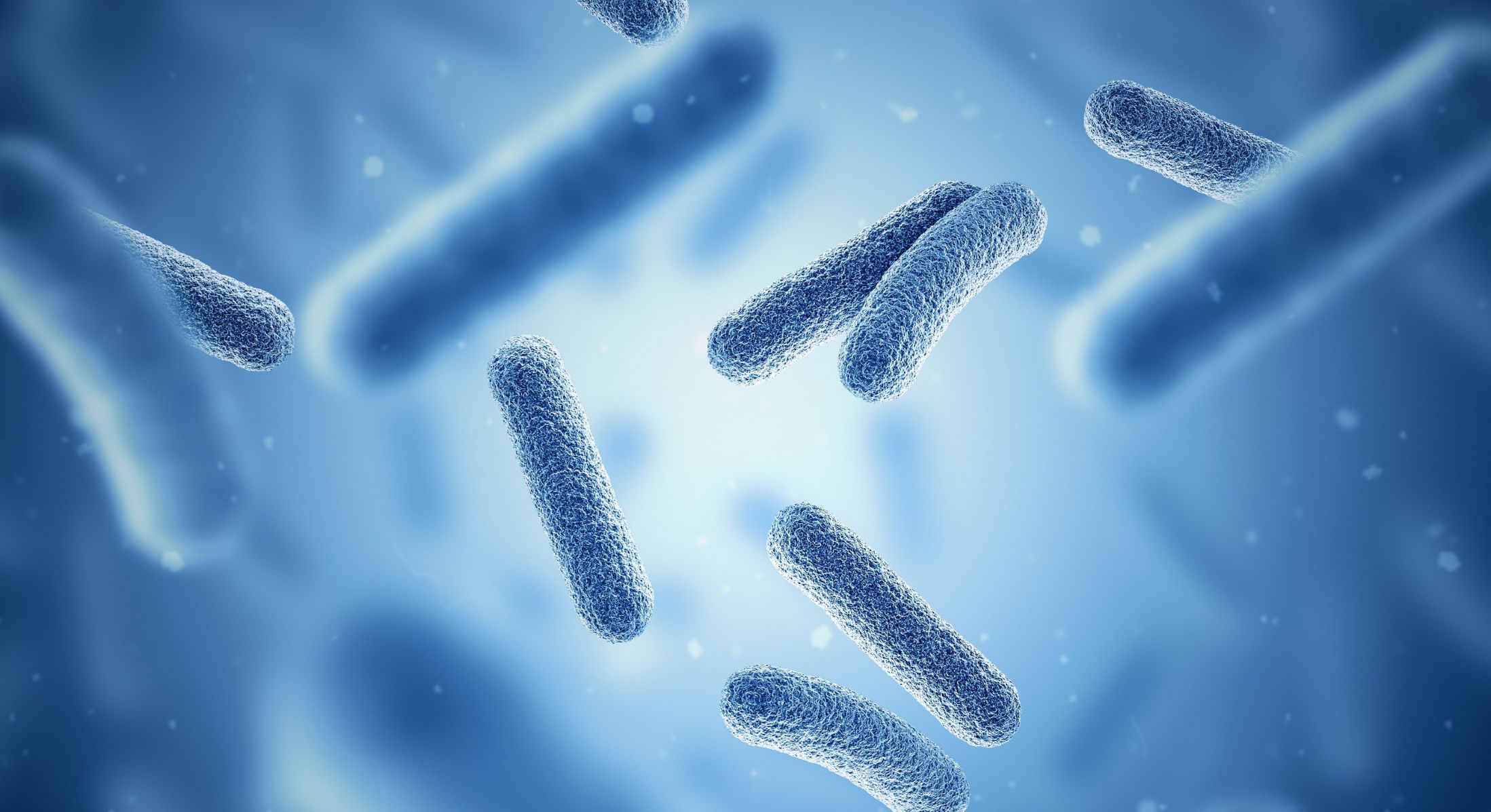 European microbiome therapeutic regulatory reform