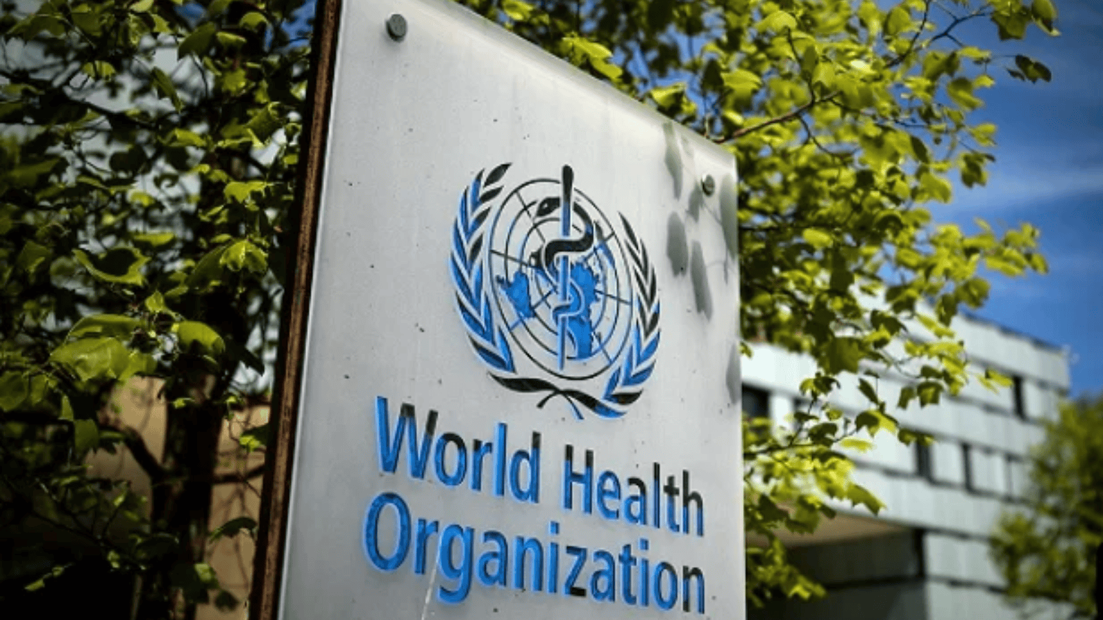 WHO Epidemic Intelligence Strategy