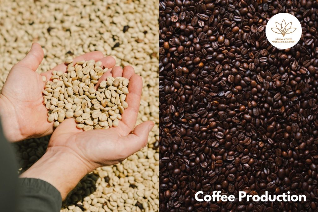 Global coffee supply dynamics: Brazil's expanding harvest reshapes market balance