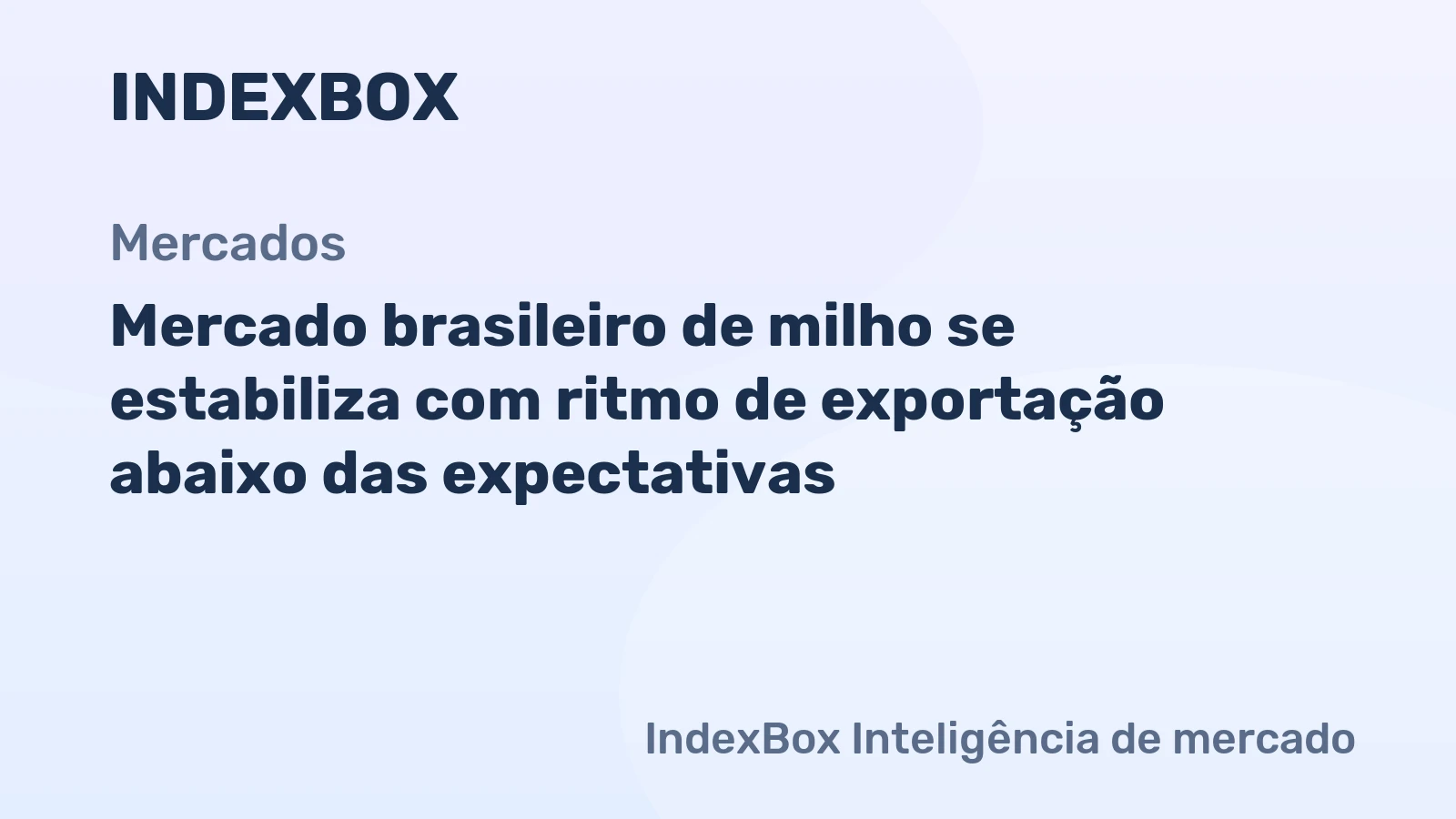 Brazilian corn market report