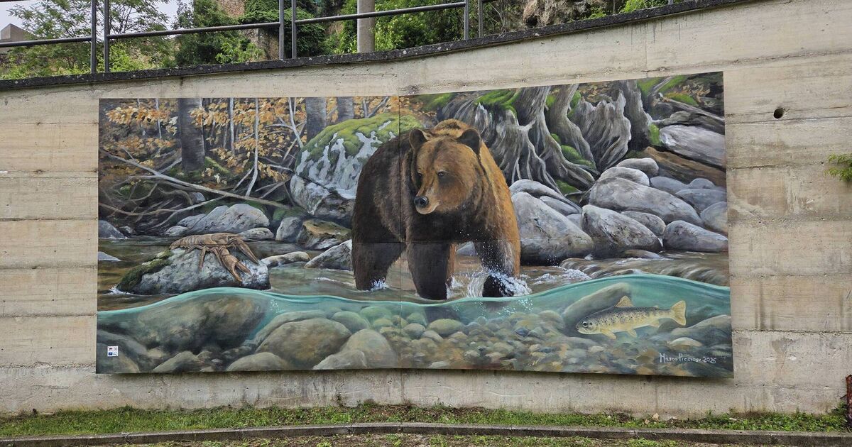 Marsican brown bear mural illustrating rewilding in Abruzzo, Italy
